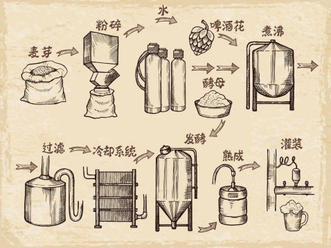 關于啤酒的知識，看這一文就夠了